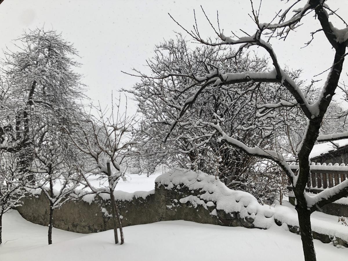 Garni Glurnserhof 外观 照片